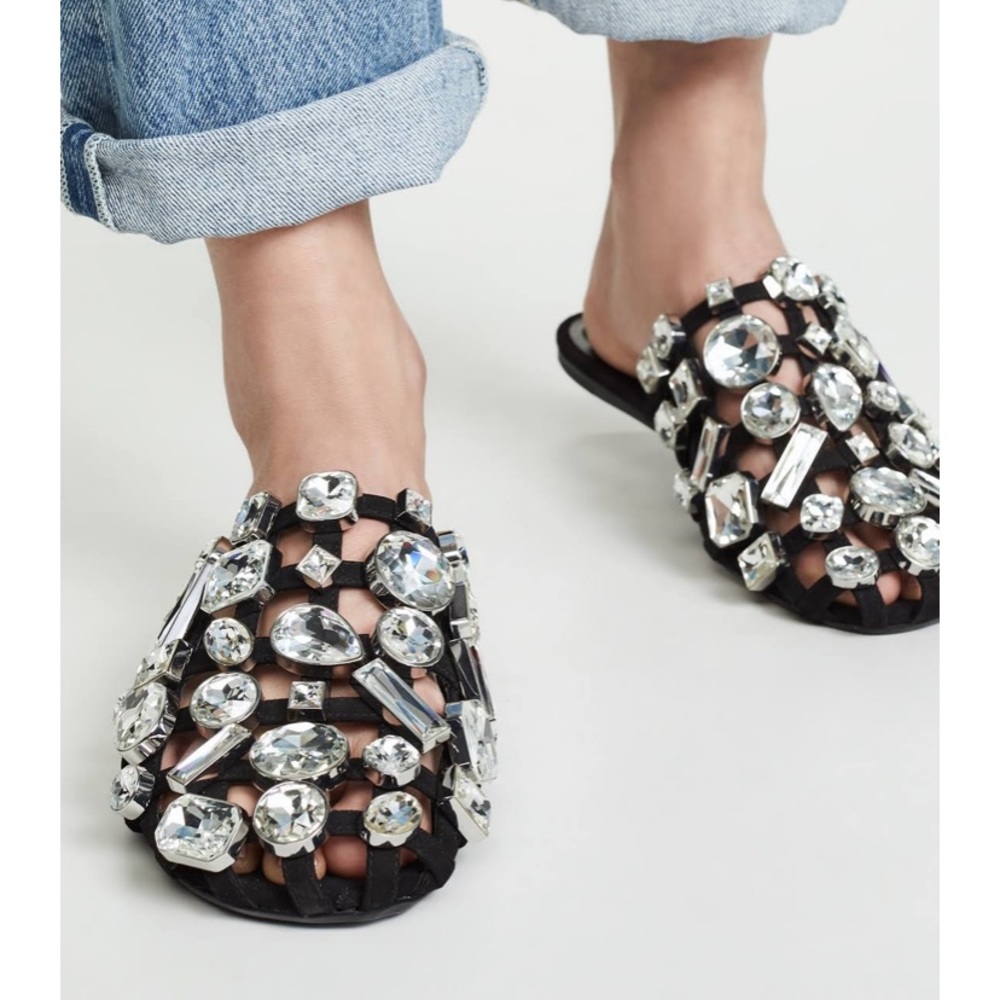 ❌FOUND ❌ ISO Alexander Wang Crystal Amelia Mule